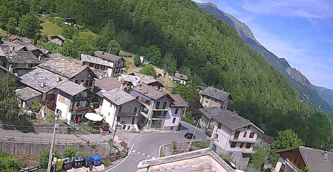 Cam 3